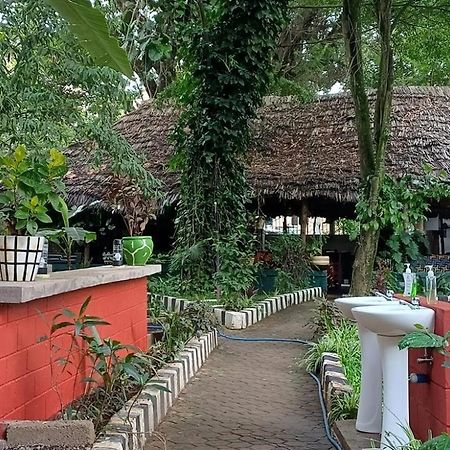 Ibrahim Garden Hostel Arusha Luaran gambar