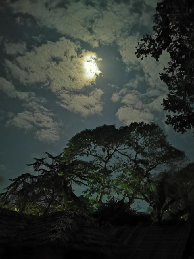 Ibrahim Garden Hostel Arusha Luaran gambar
