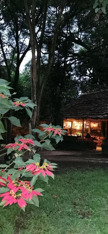 Ibrahim Garden Hostel Arusha Luaran gambar