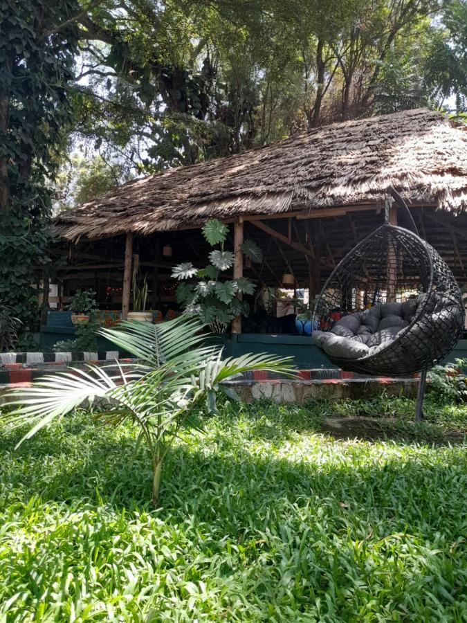 Ibrahim Garden Hostel Arusha Luaran gambar